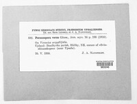 Image Associated With the Occurence